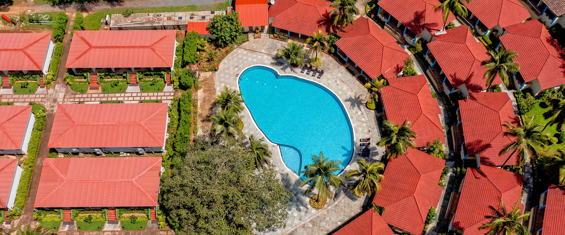 Windflower Resort & Spa โ photo 6